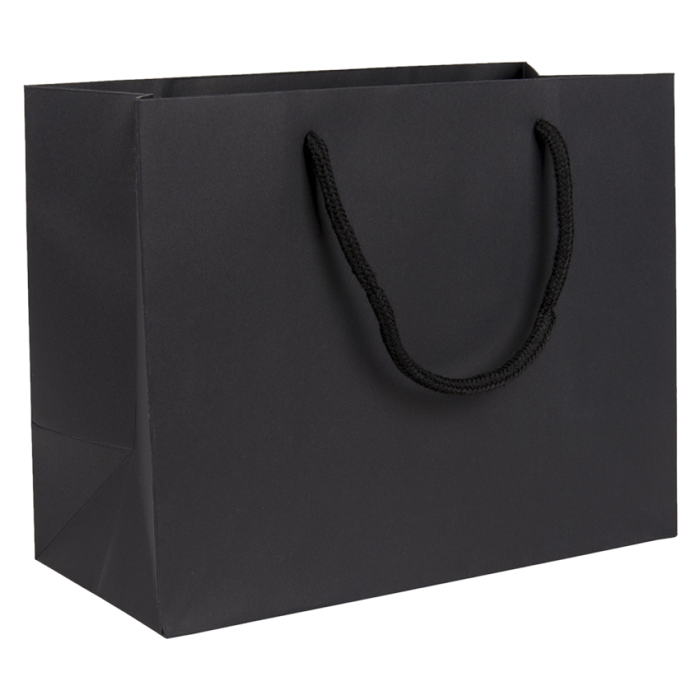 Medium Landscape Black Paper Gift Bag With Rope Handles