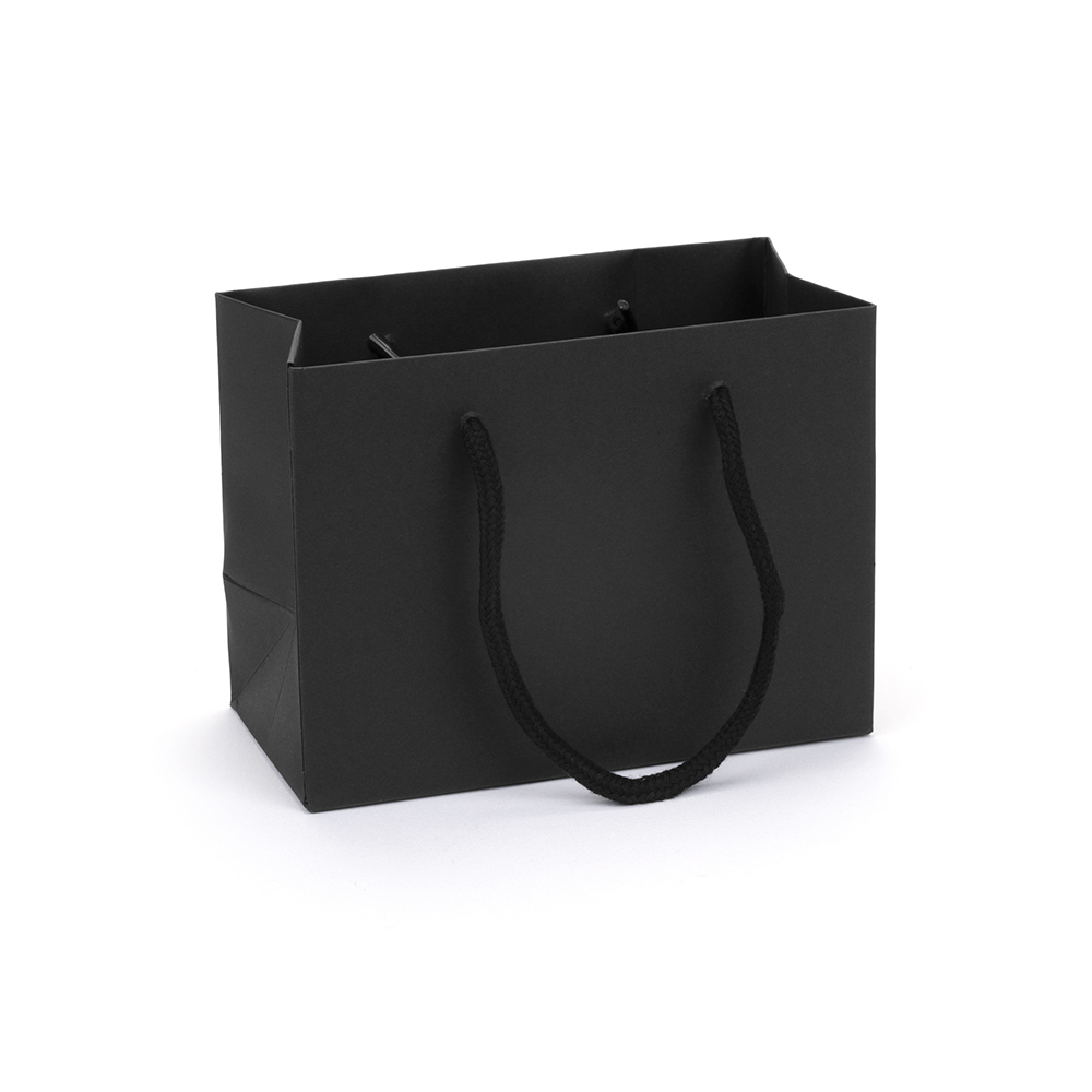 Small Landscape Paper Gift Bag | Rope Handles 