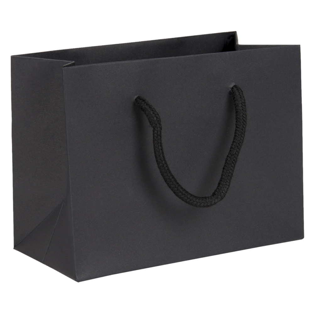 Small Landscape Black Paper Gift Bag With Rope Handles