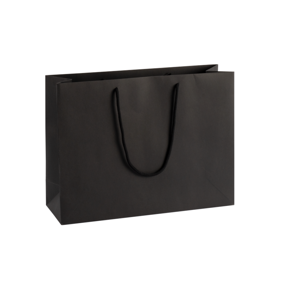 Extra Large Landscape Paper Gift Bag With Rope Handles Tiny Box Company