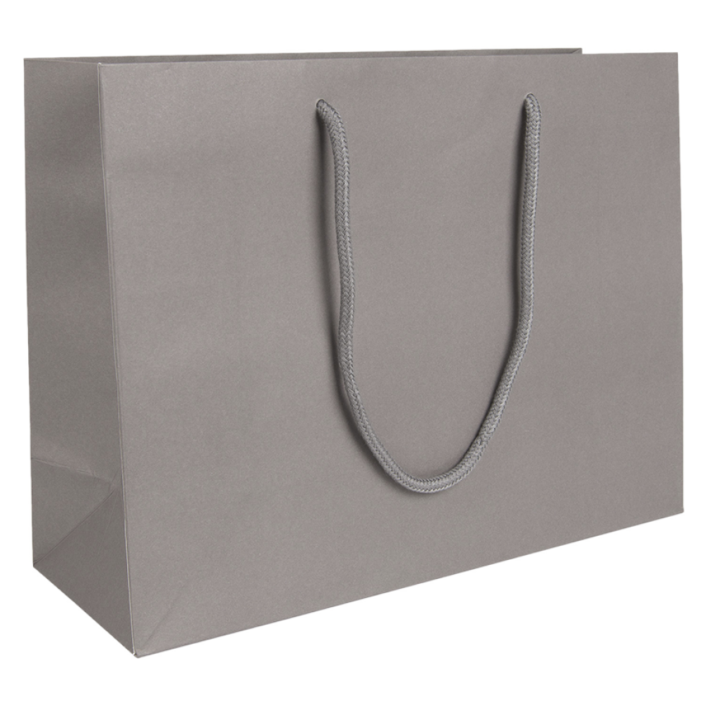 Large Landscape Grey Paper Gift Bag With Rope Handles