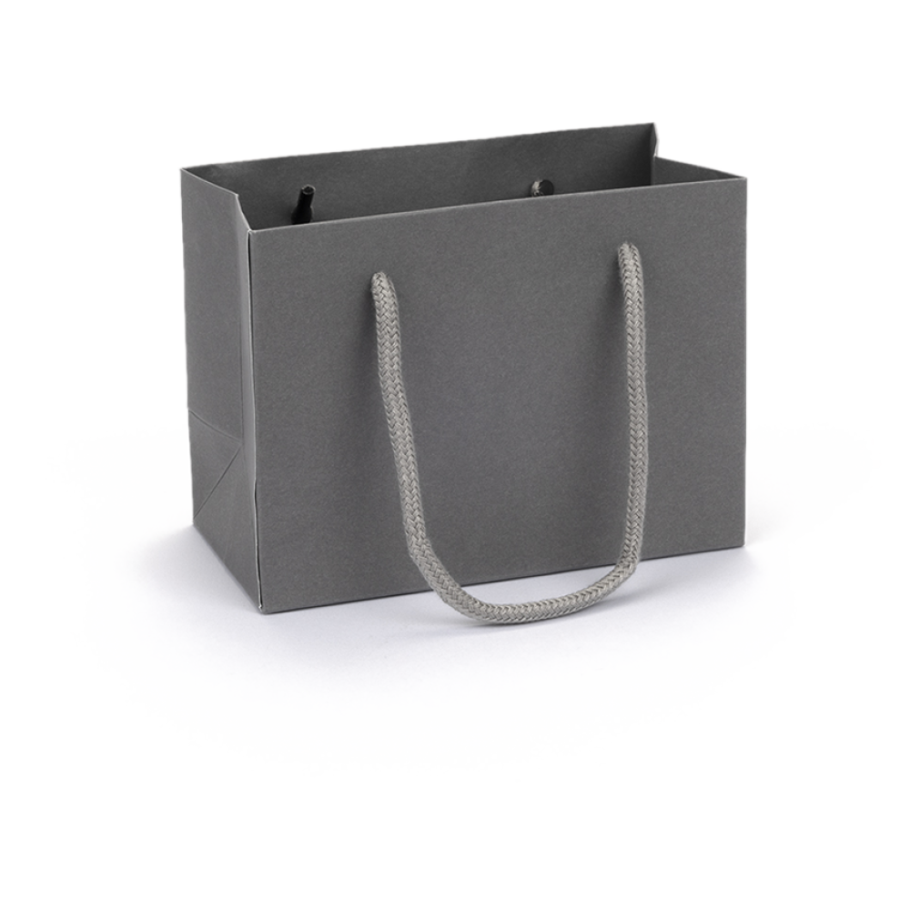 Small Landscape Grey Paper Gift Bag With Rope Handles