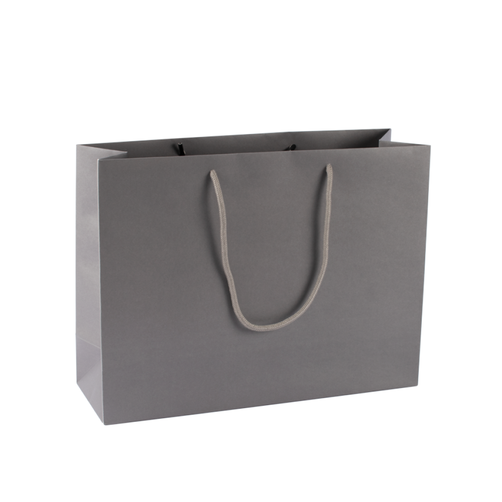 Extra Large Landscape Grey Paper Gift Bag with Rope Handles Tiny Box