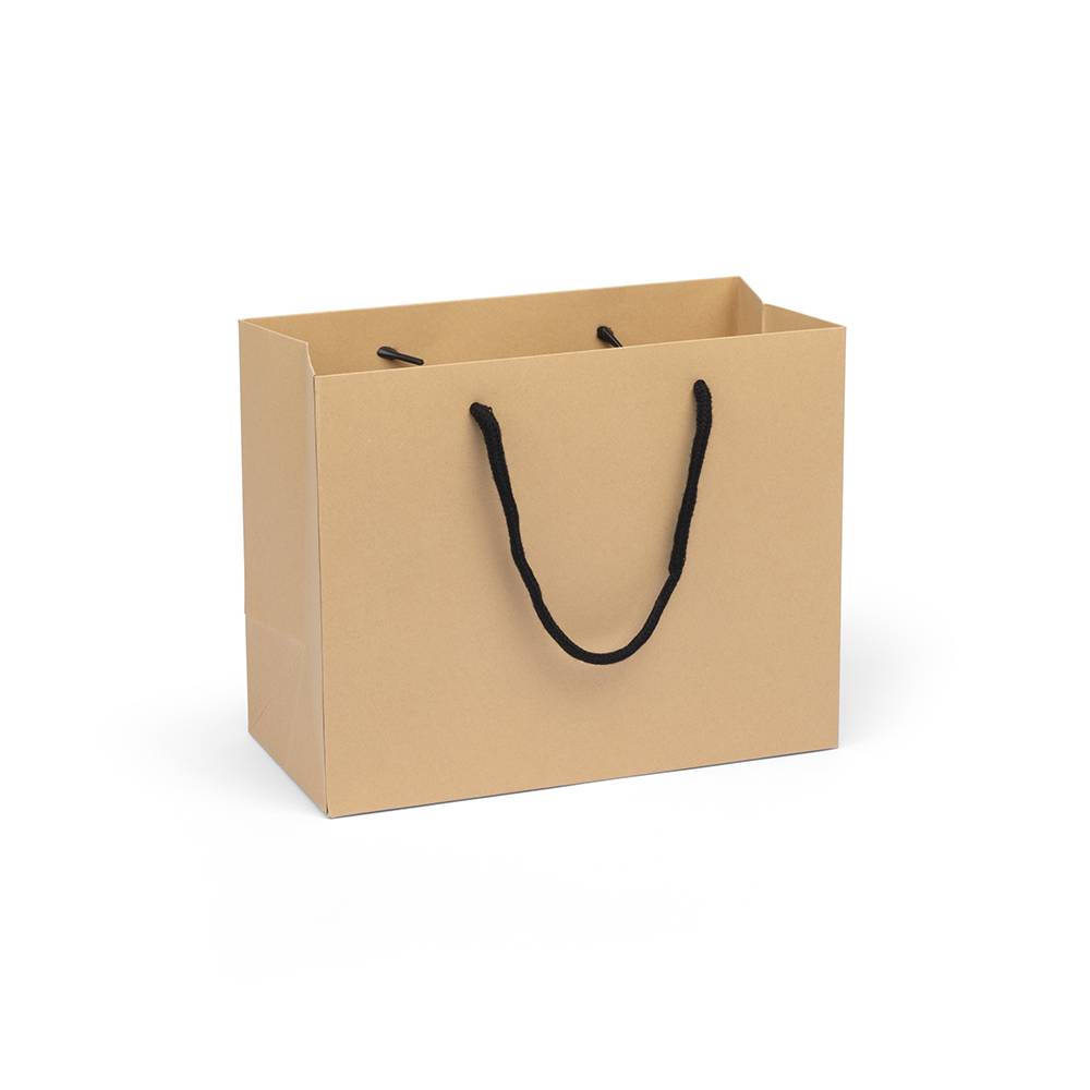 Medium Landscape Paper Gift Bag | Rope Handles 