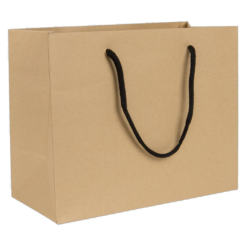 Medium Landscape Kraft Paper Gift Bag With Rope Handles