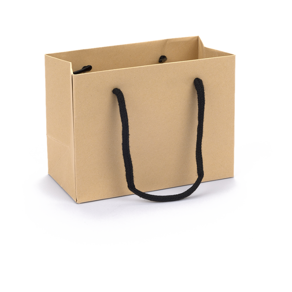 Small Landscape Kraft Paper Gift Bag With Rope Handles
