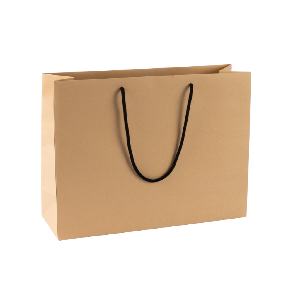 Extra Large Landscape Kraft Paper Gift Bag with Rope Handles Tiny Box