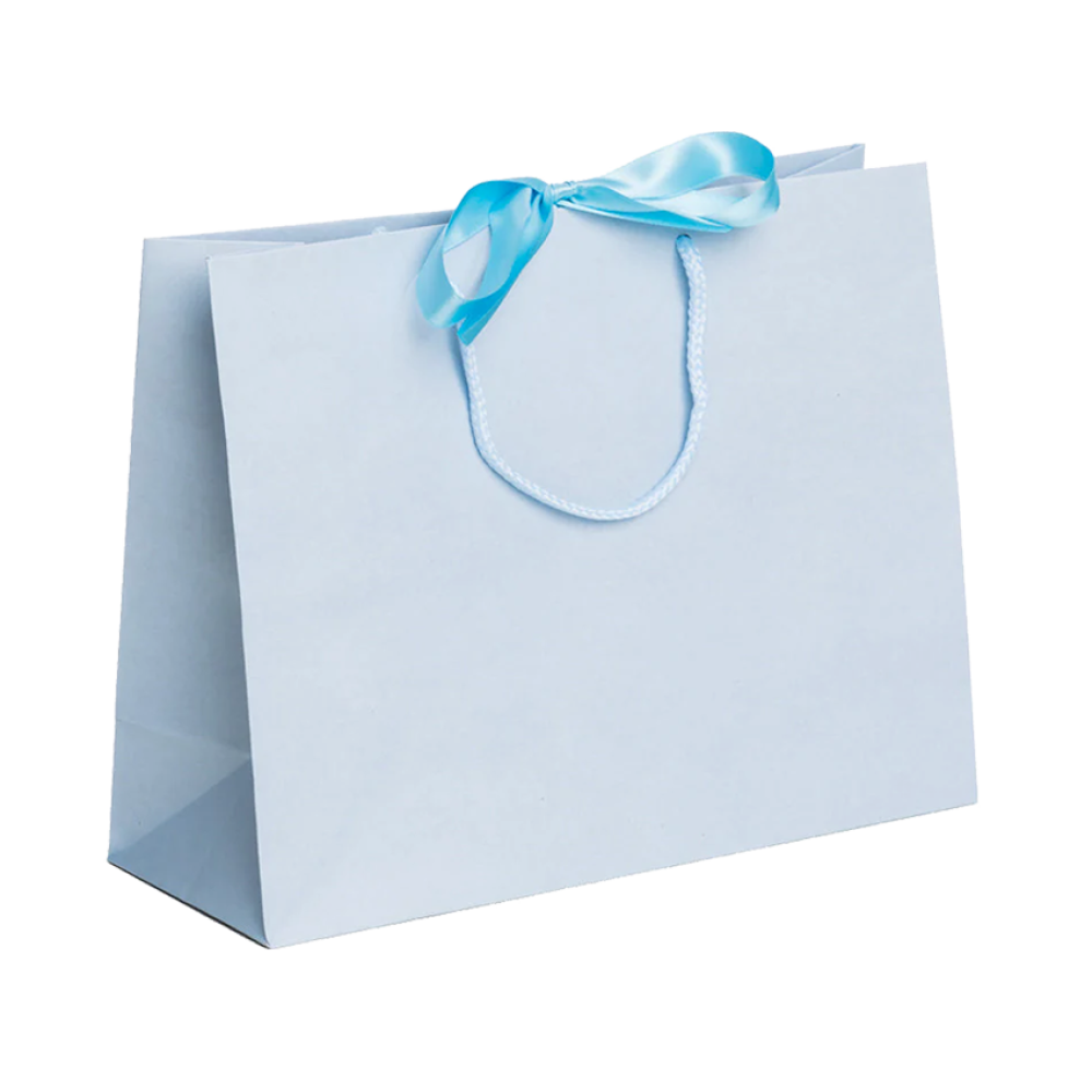 Pack of 100 Large Landscape Light Blue Paper Gift Bags With Rope