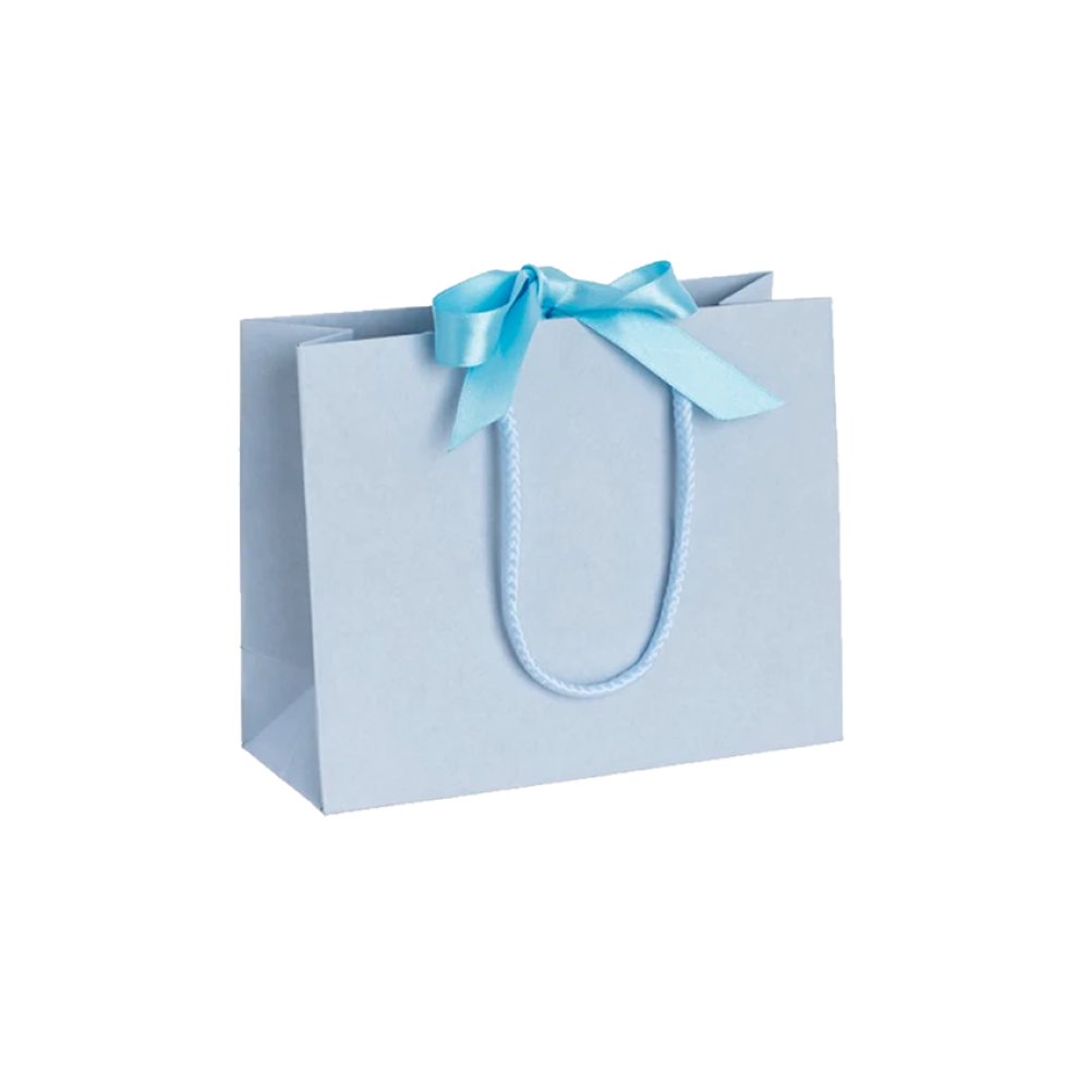 Pack Of ... Small Landscape Light Blue Paper Gift Bags With Rope Handles  And Ribbon | Tiny Box Company