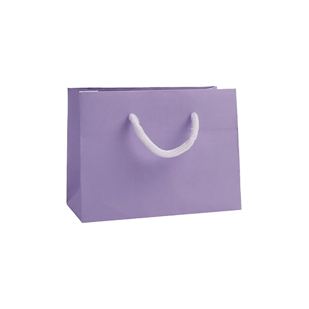 Small Landscape Lilac Paper Gift Bag With Rope Handles Tiny Box Company