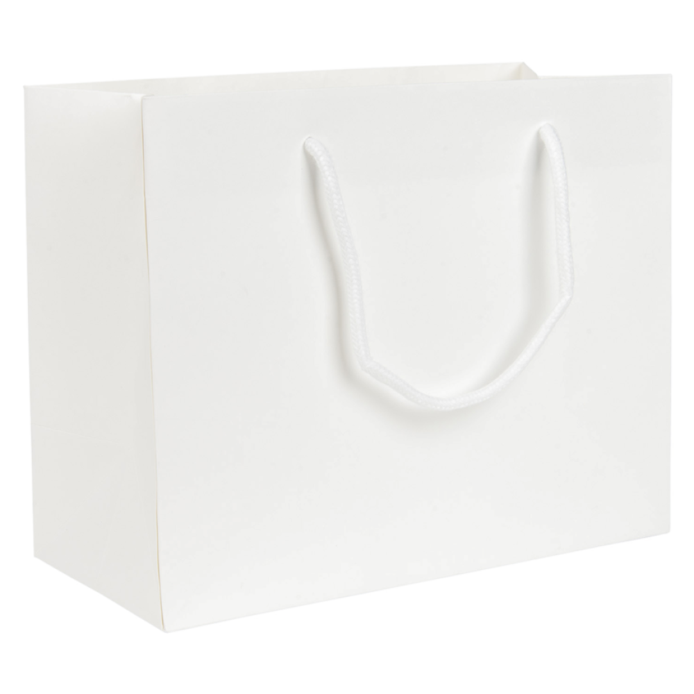 Medium Landscape White Paper Gift Bag With Rope Handles