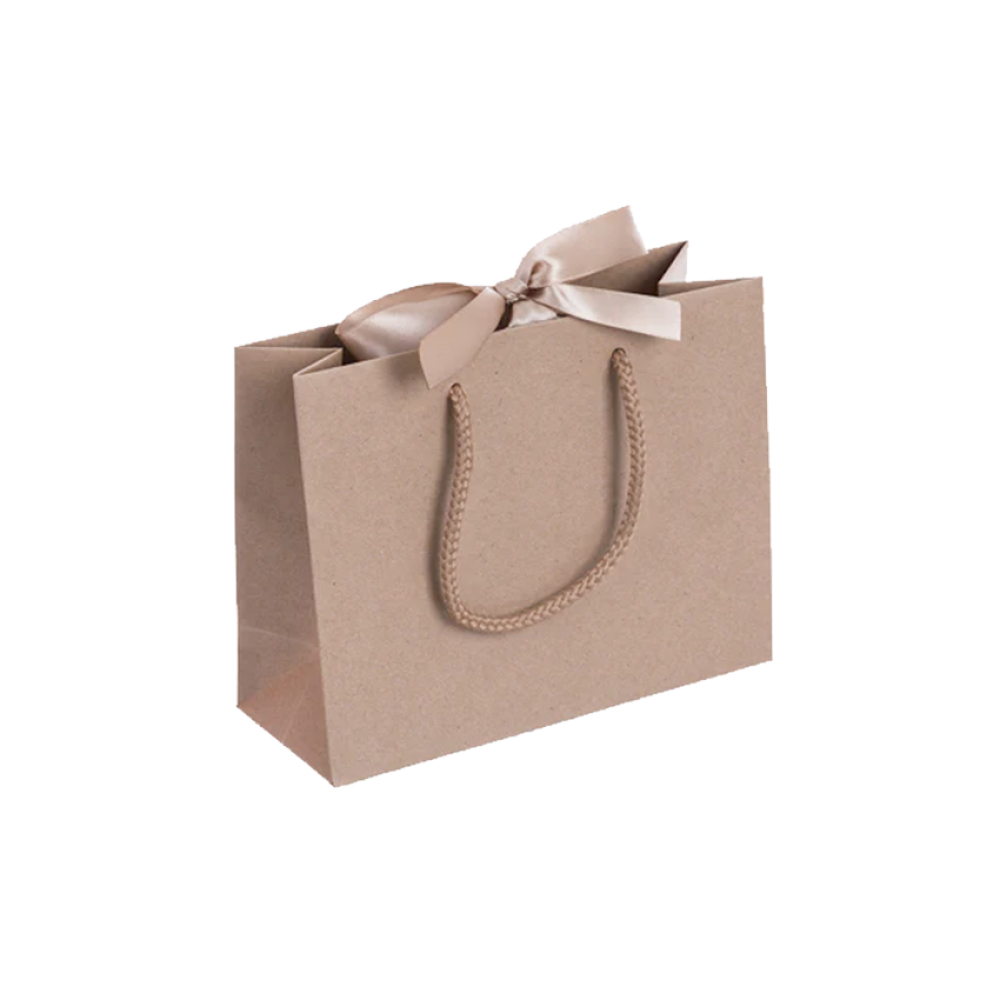 Pack of Small Landscape Black Paper Gift Bags With Rope Handles and