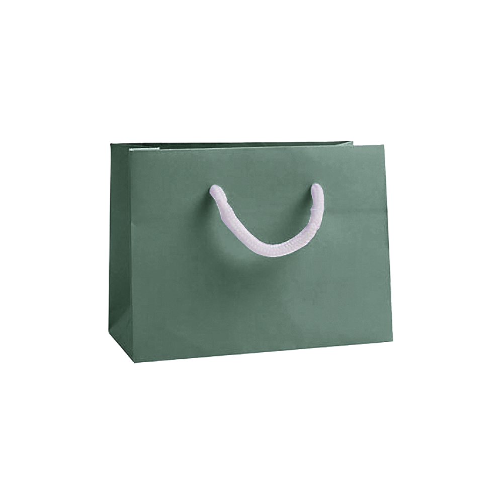 Forest Green Small Landscape Paper Gift Bag with Rope Handles Tiny Box Company