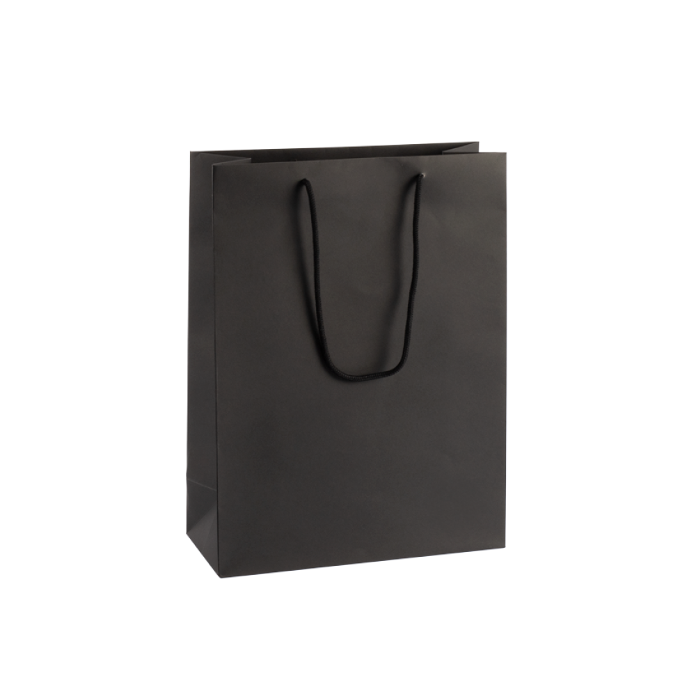 Extra Large Portrait Paper Gift Bag with Rope Handles Tiny Box Company