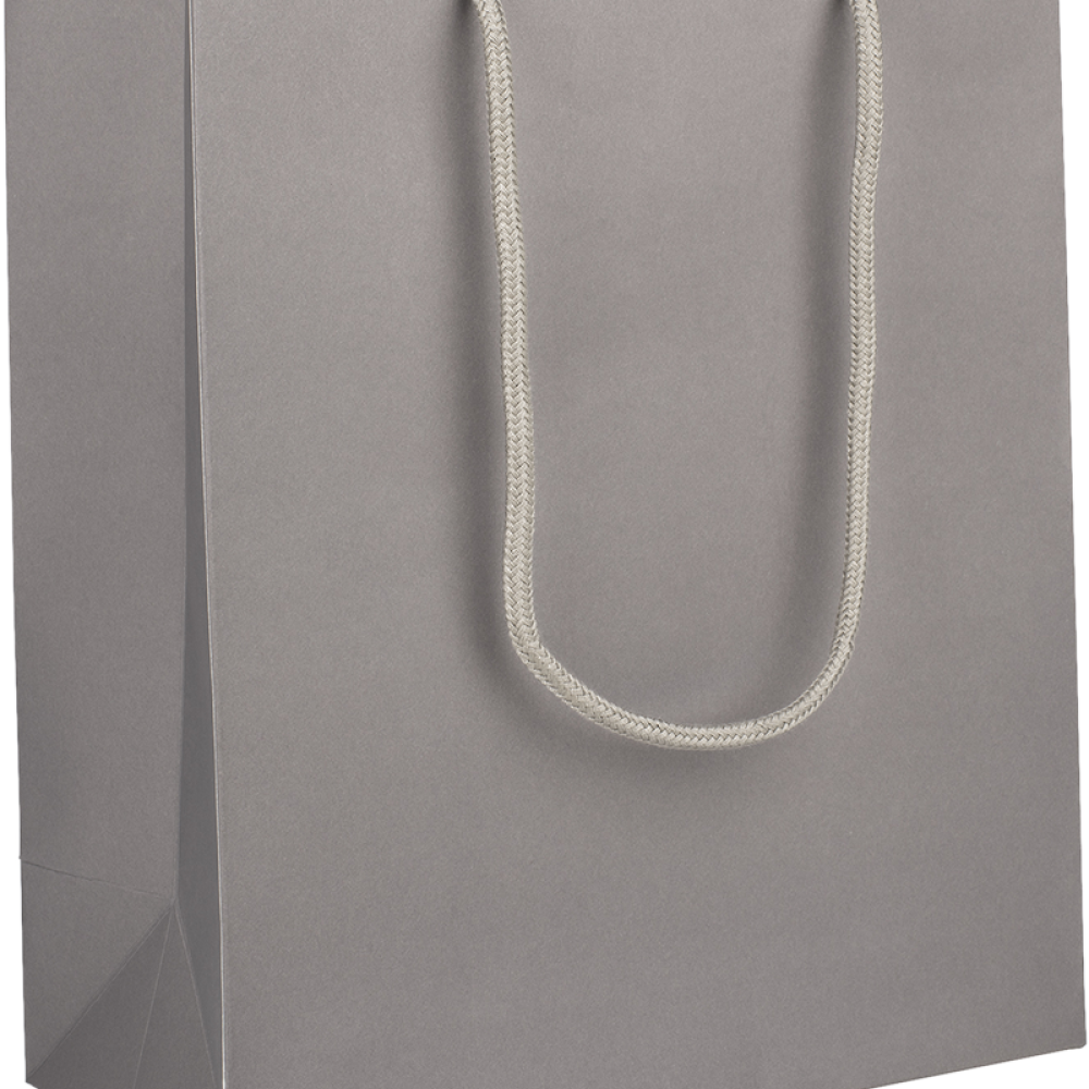 Large Portrait Grey Gift Bag with Rope Handles Tiny Box Company
