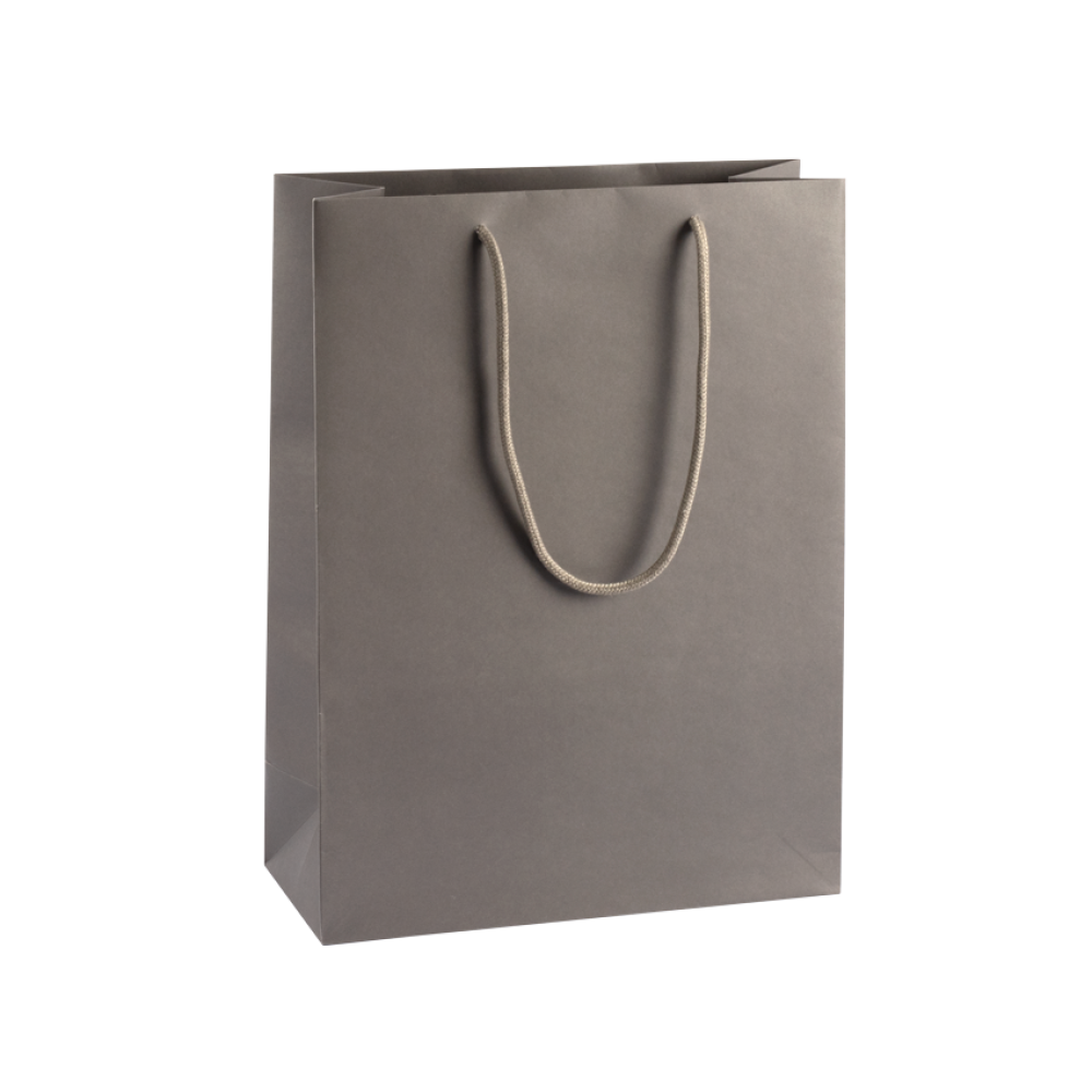 Extra Large Portrait Grey Paper Gift Bag With Rope Handles Tiny Box