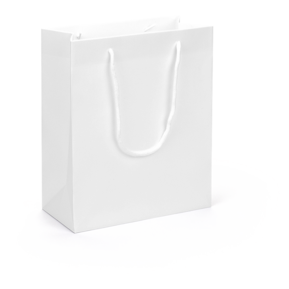 Large Portrait White Paper Gift Bag With Rope Handles