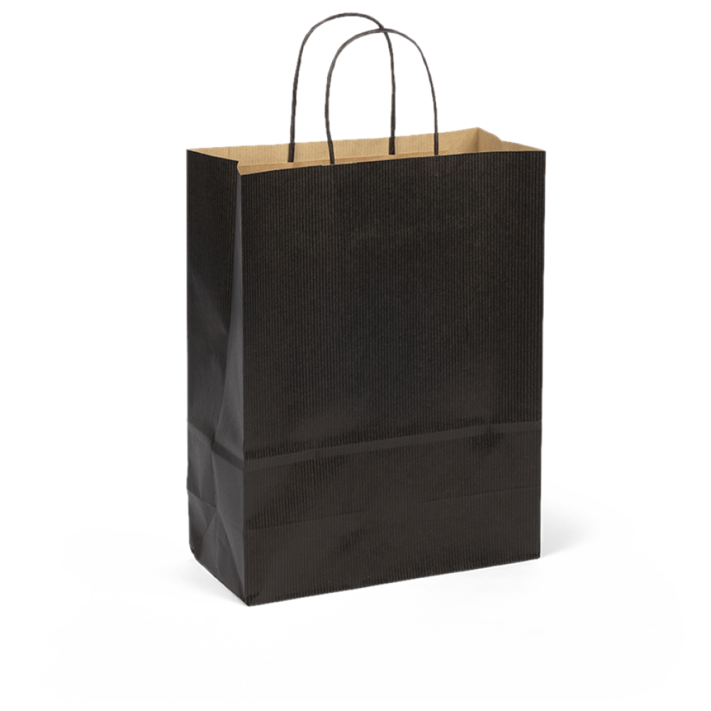 Medium Black Paper Gift Bag With Paper Twisted Handles