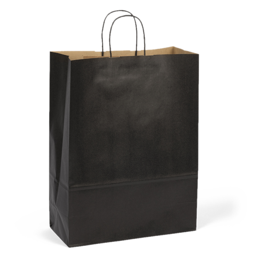 Large Black Paper Gift Bag With Paper Twisted Handles