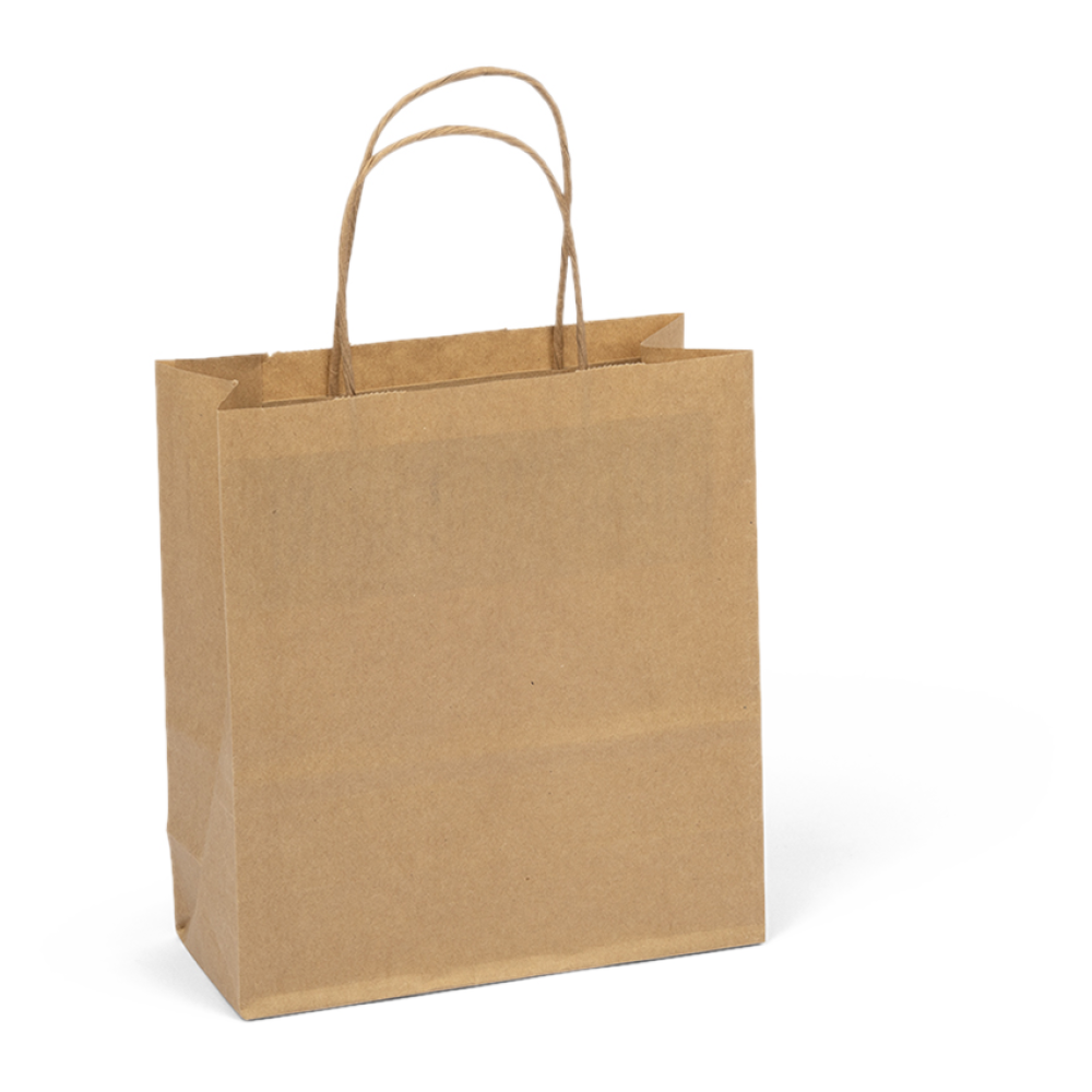 Small Brown Kraft Paper Gift Bag With Paper Twist Handles