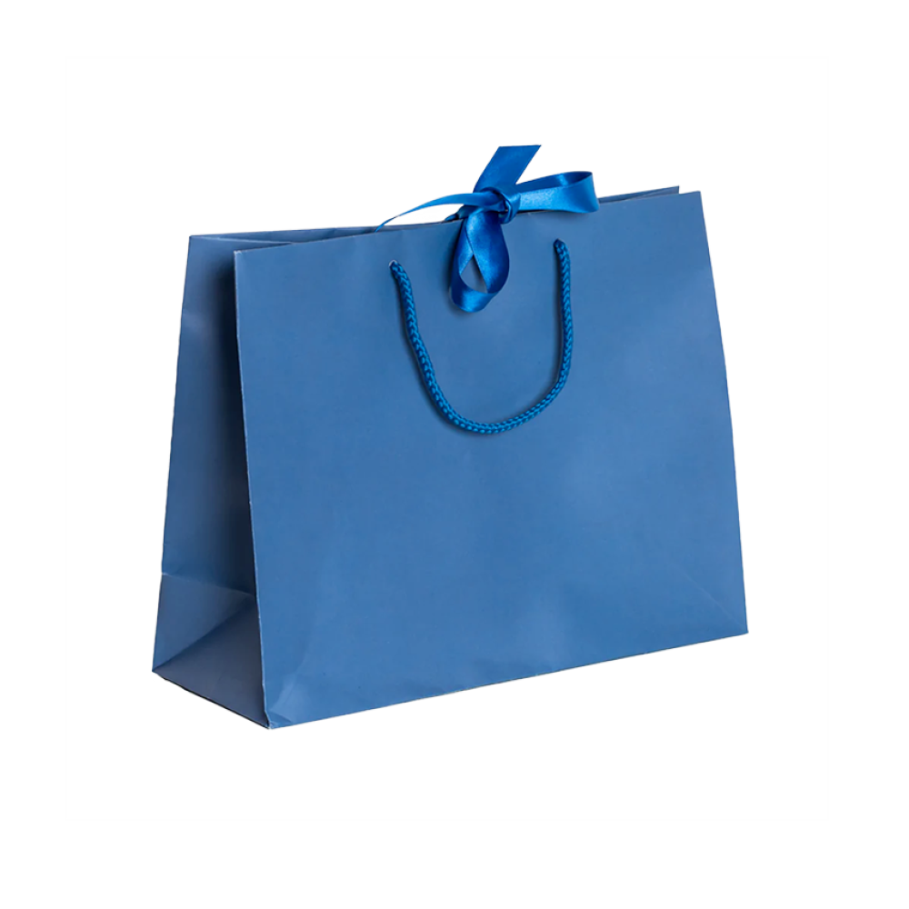 pack-of-100-large-landscape-blue-paper-gift-bags-with-rope-handles-and