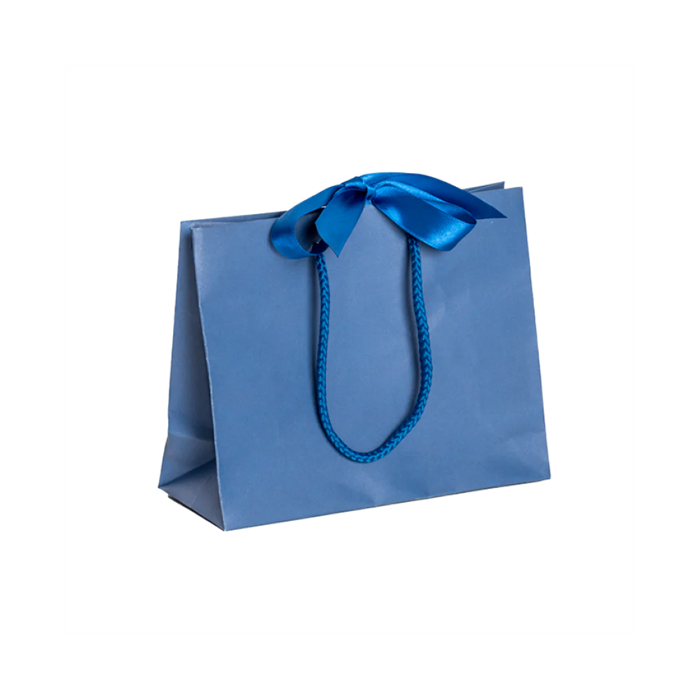 Pack of Small Landscape Blue Paper Gift Bags With Rope Handles and