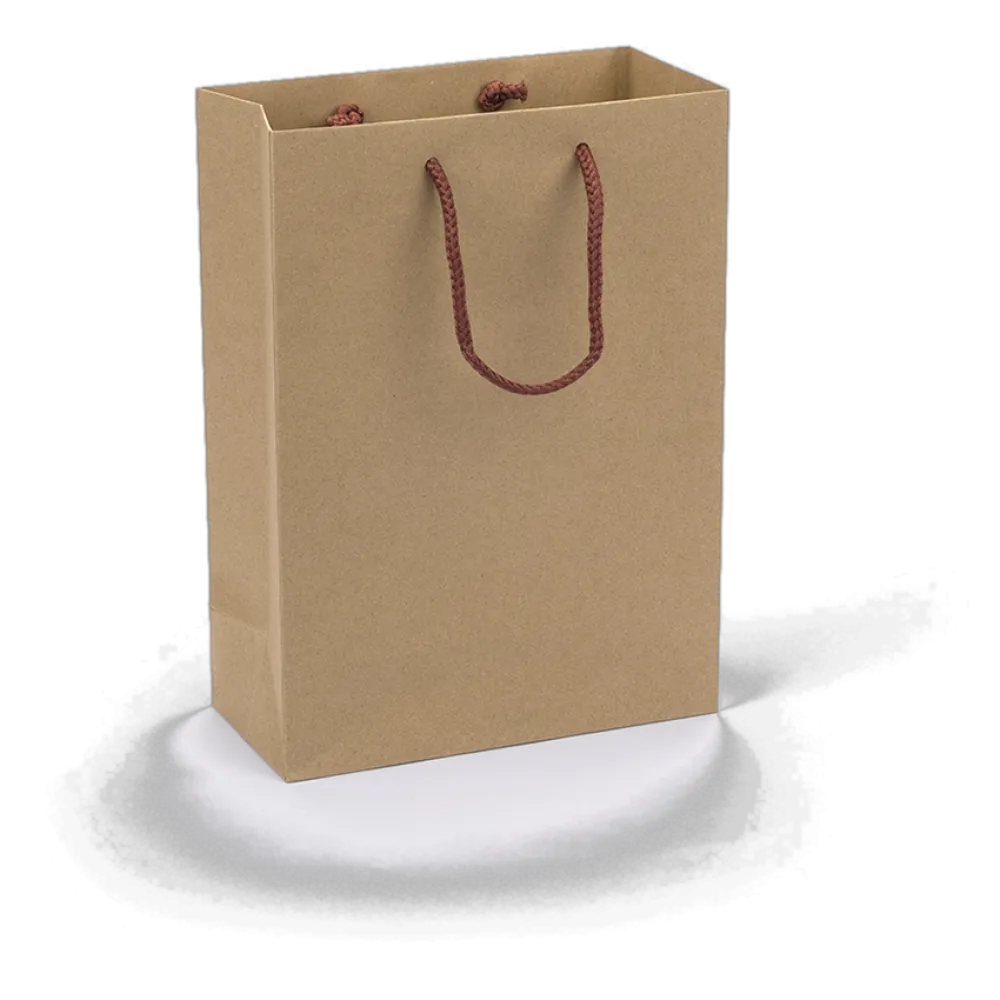 Brown kraft paper gift bag with brown rope handles 210mm