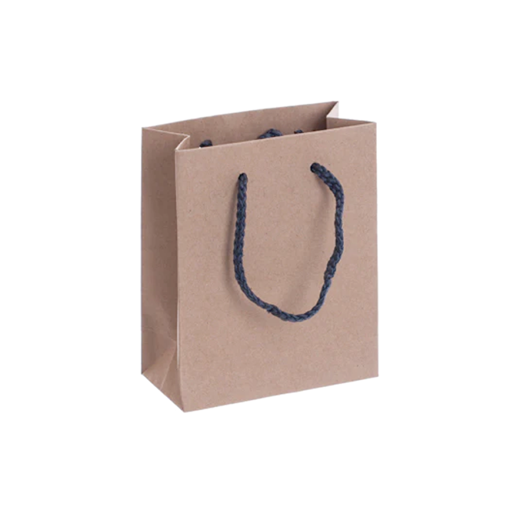 Pack of 25 Portrait Kraft Paper Gift Bag with Grey Rope Handles
