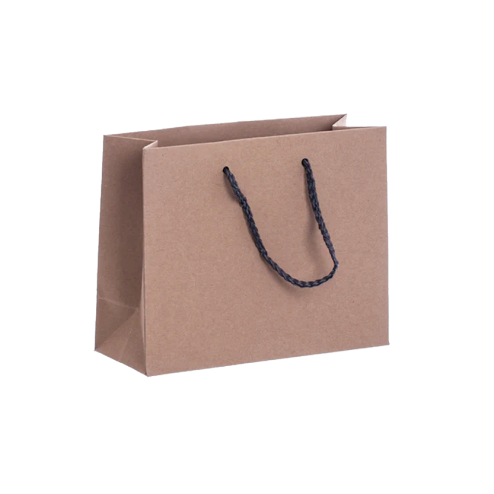 Pack of 25 Landscape Kraft Paper Gift Bag with Grey Rope Handles