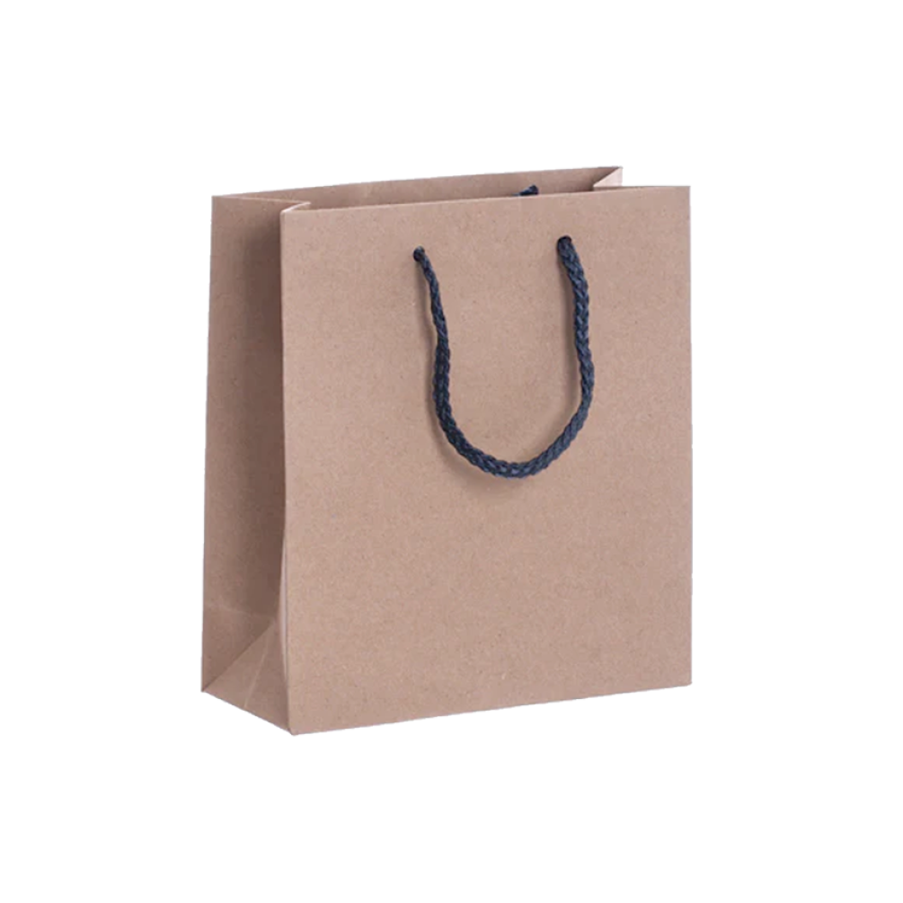 Pack of 25 Portrait Kraft Paper Gift Bag with Grey Rope Handles