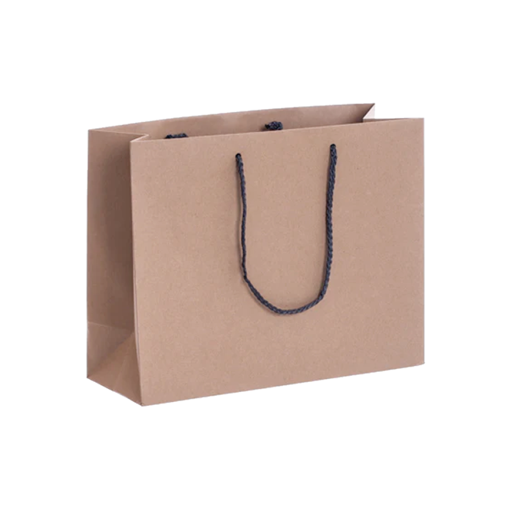 Pack of 25 Landscape Kraft Paper Gift Bag with Grey Rope Handles