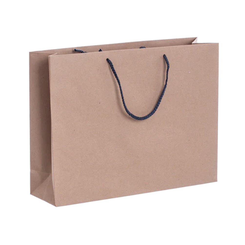 Pack of 25 Landscape Kraft Paper Gift Bag with Grey Rope Handles