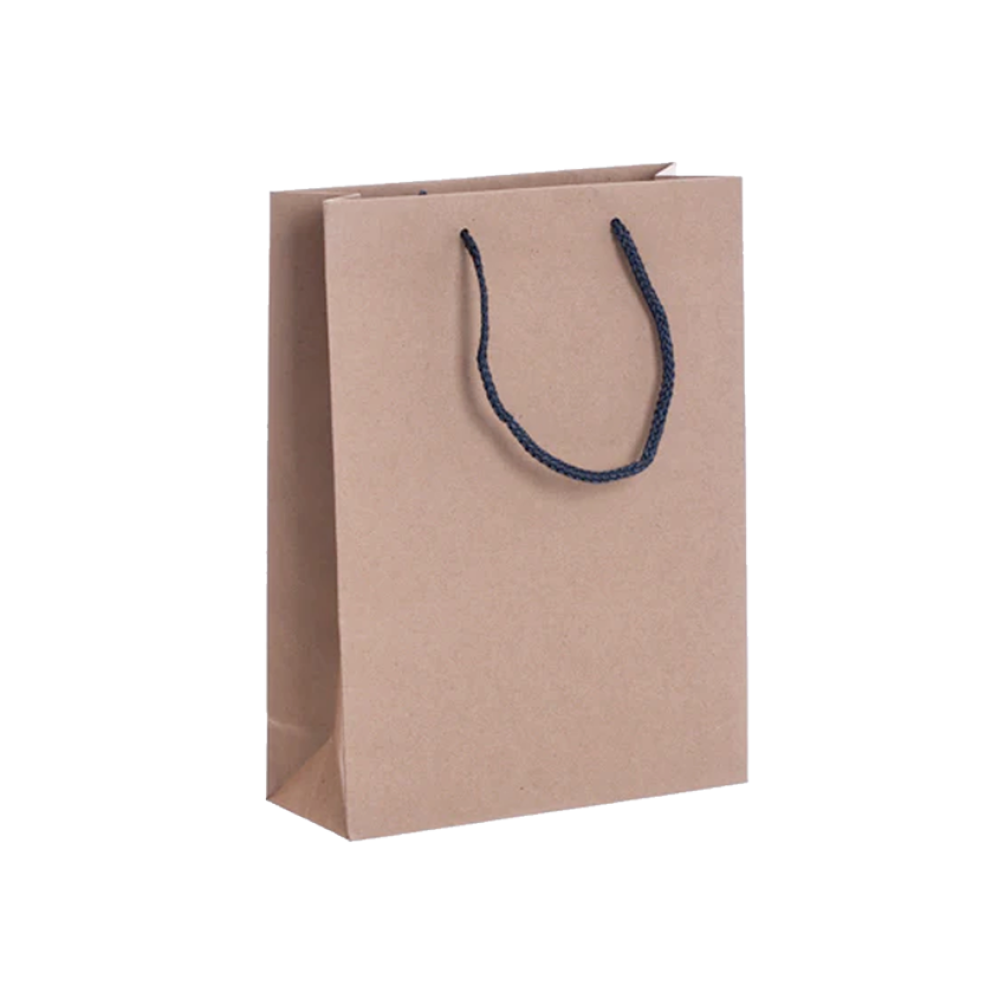 Pack of 25 Portrait Kraft Paper Gift Bag with Grey Rope Handles