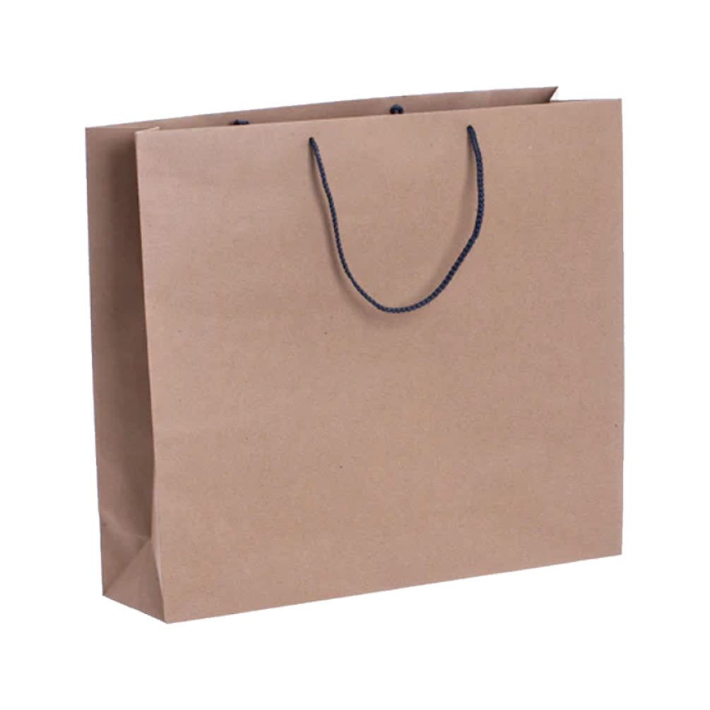 Pack of 25 Landscape Kraft Paper Gift Bag with Grey Rope Handles