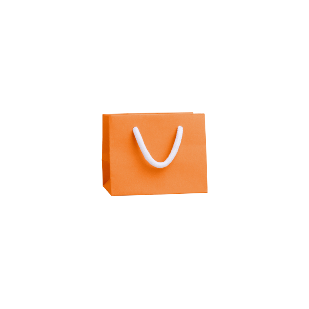 Extra Small Landscape Apricot Crush Orange Paper Gift Bag with Rope Handles