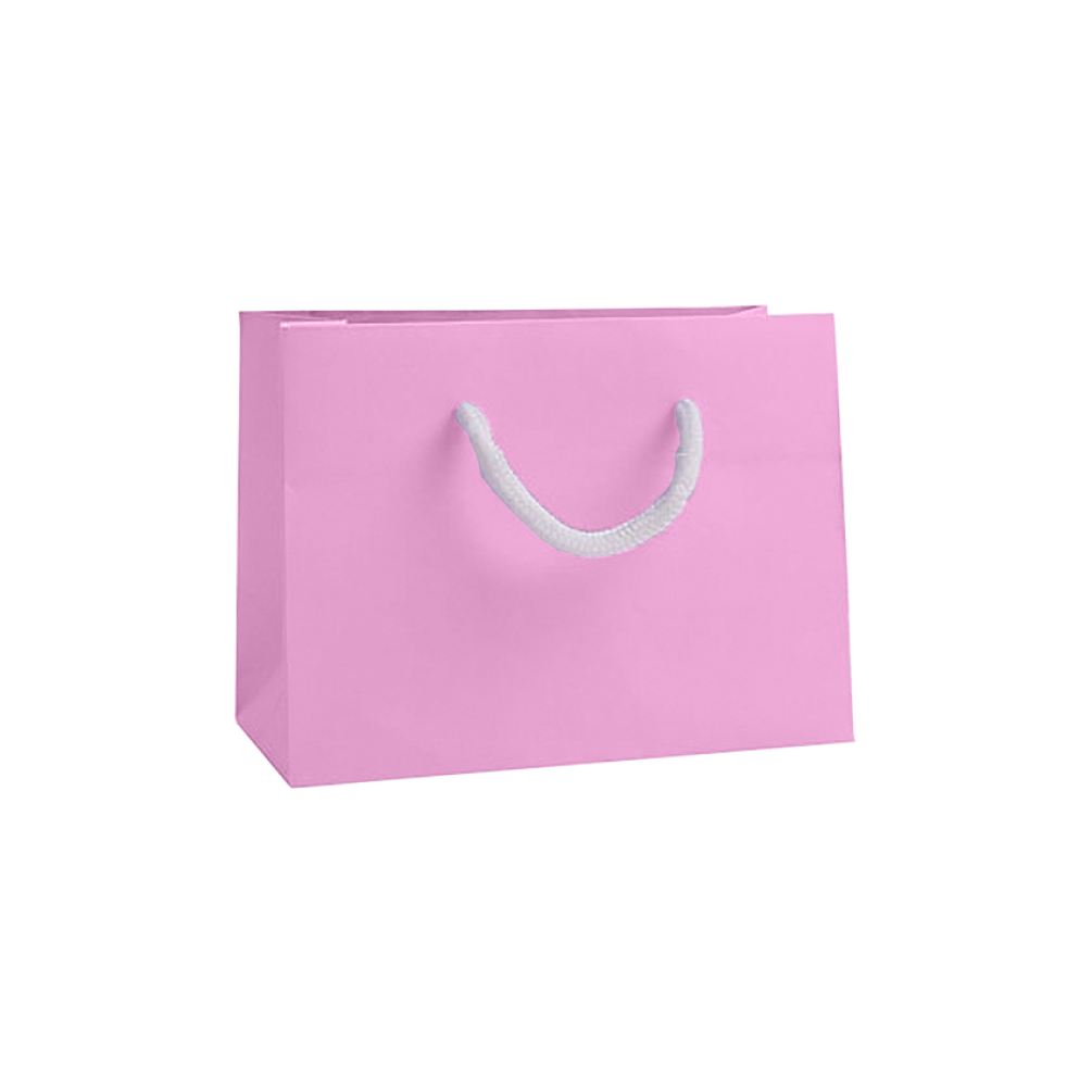 Small Landscape Fondant Pink Paper Gift Bag with Rope Handles