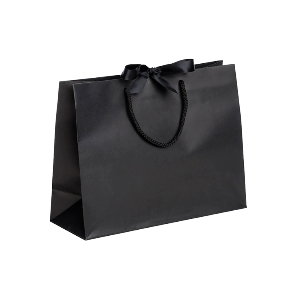 Pack of 25 Medium Landscape Black Paper Gift Bags With Rope Handles and Ribbon