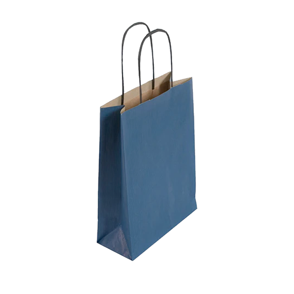 Pack of 25 Medium Blue Paper Gift Bags With Paper Twisted Handles