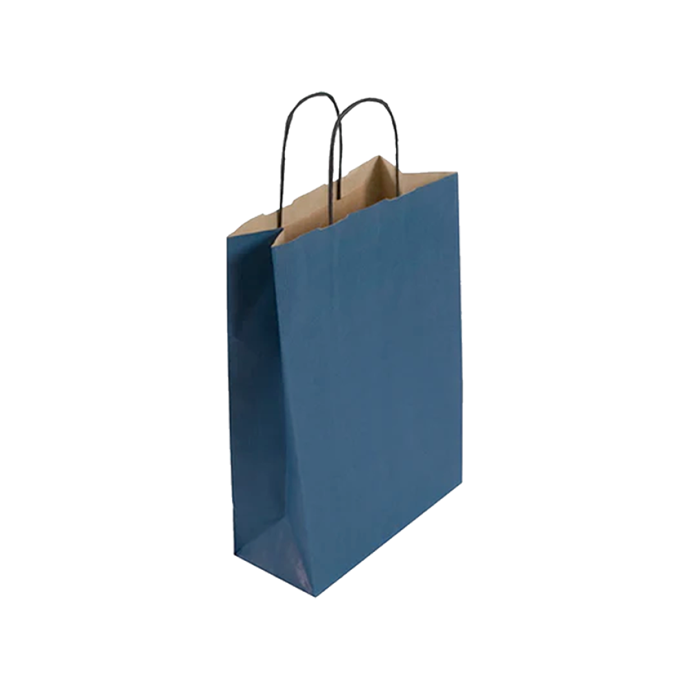 Pack of 25 Small Blue Paper Gift Bag With Paper Twisted Handles
