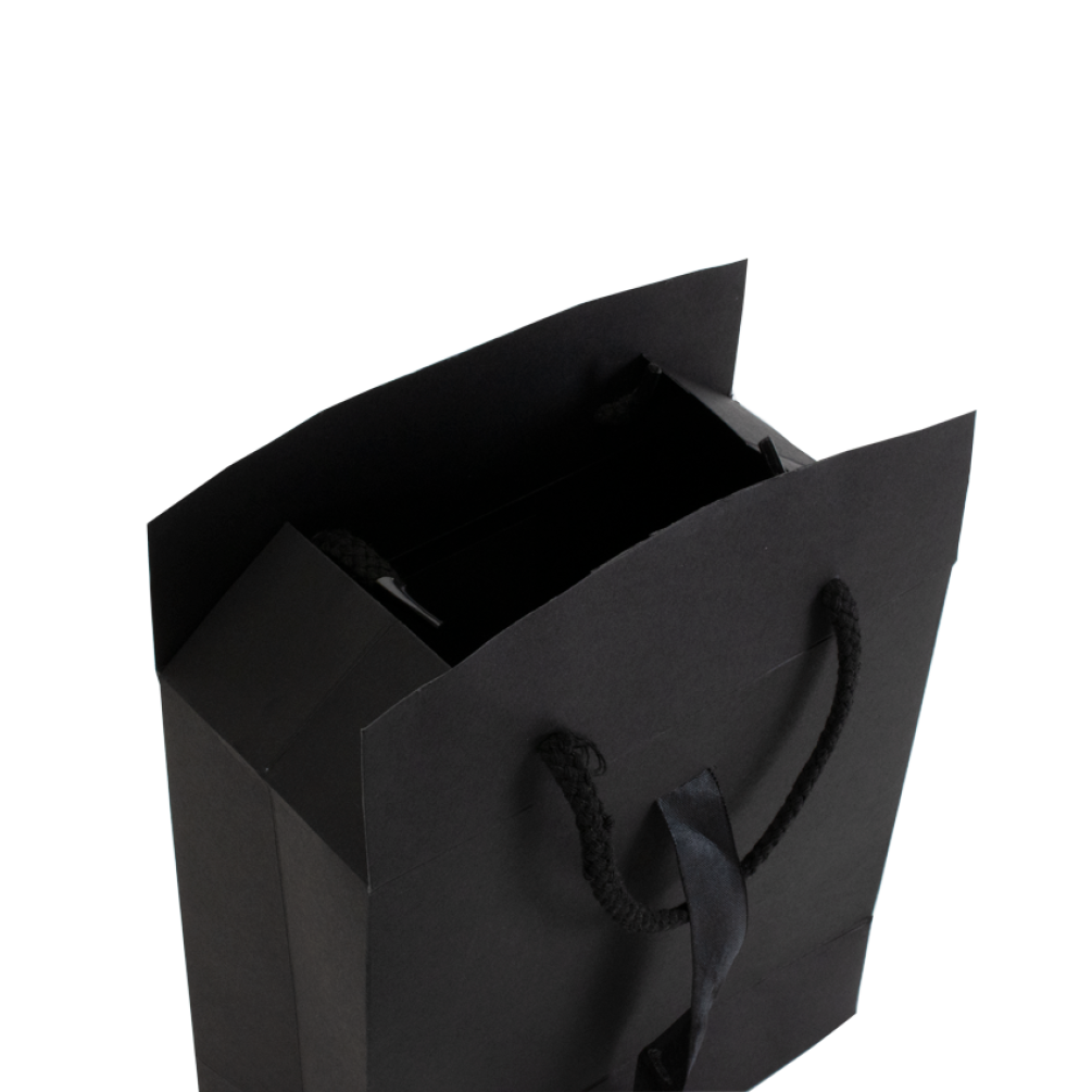 Box Bag Rope Handle Gift Bag with Ribbon and Closing Top