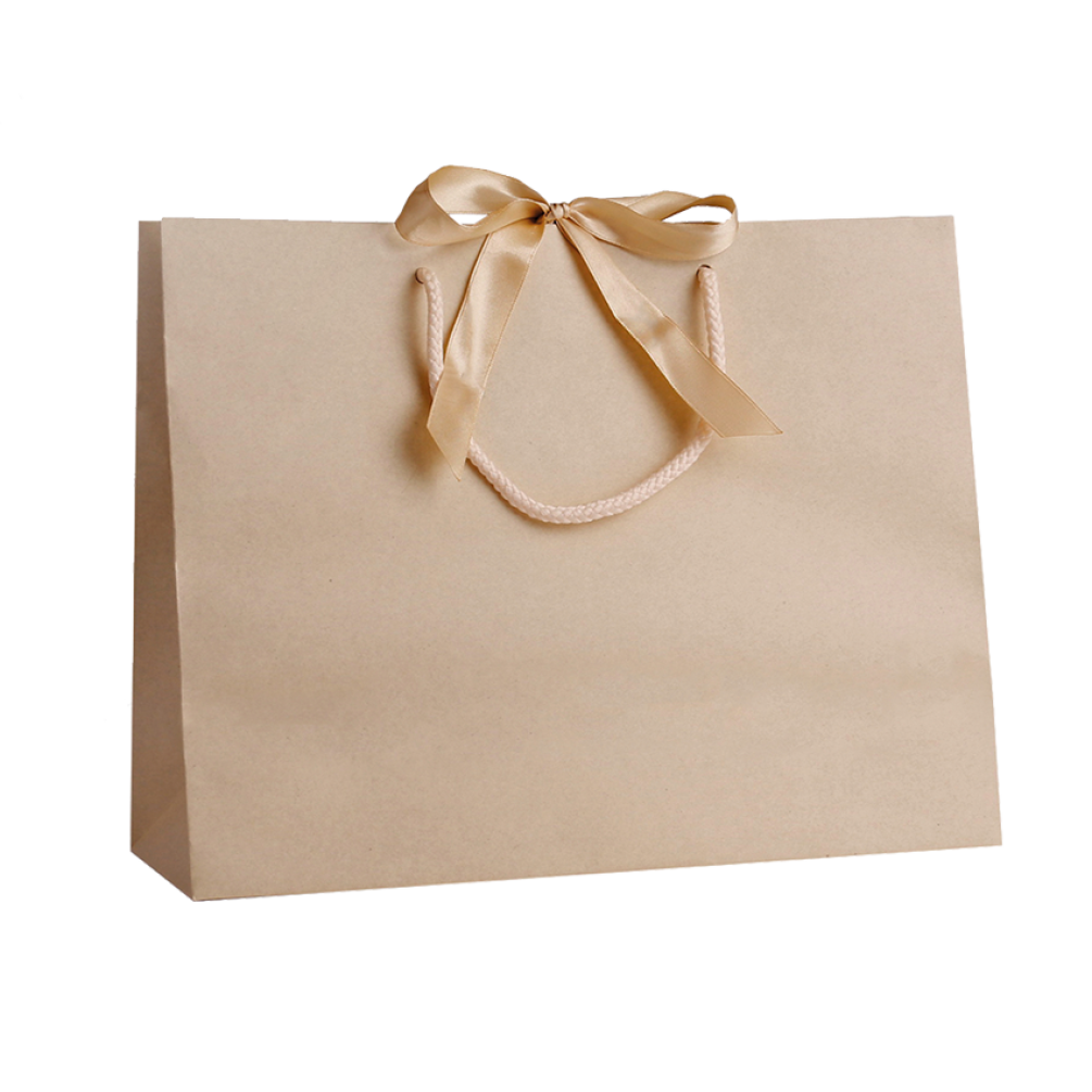 Pack of 25 Large Landscape Cream Paper Gift Bags With Rope Handles and Ribbon
