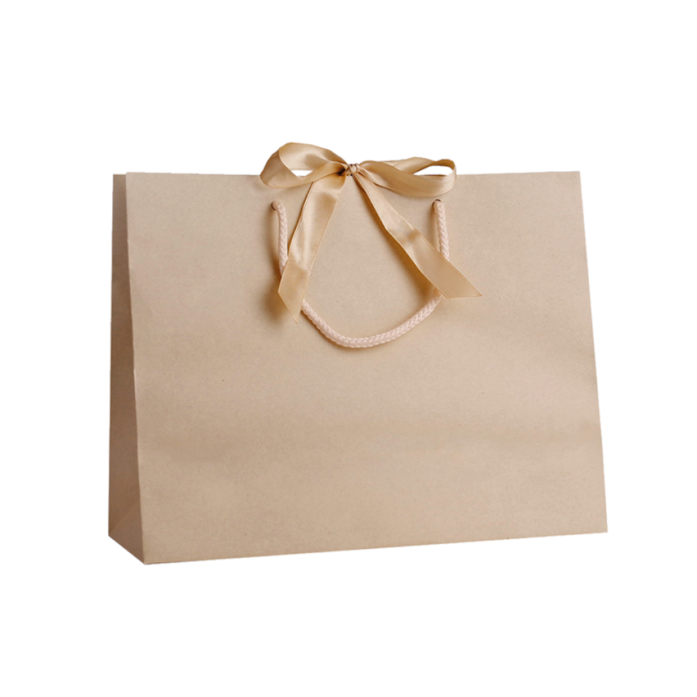 Pack of 25 Medium Landscape Cream Paper Gift Bags With Rope Handles and Ribbon