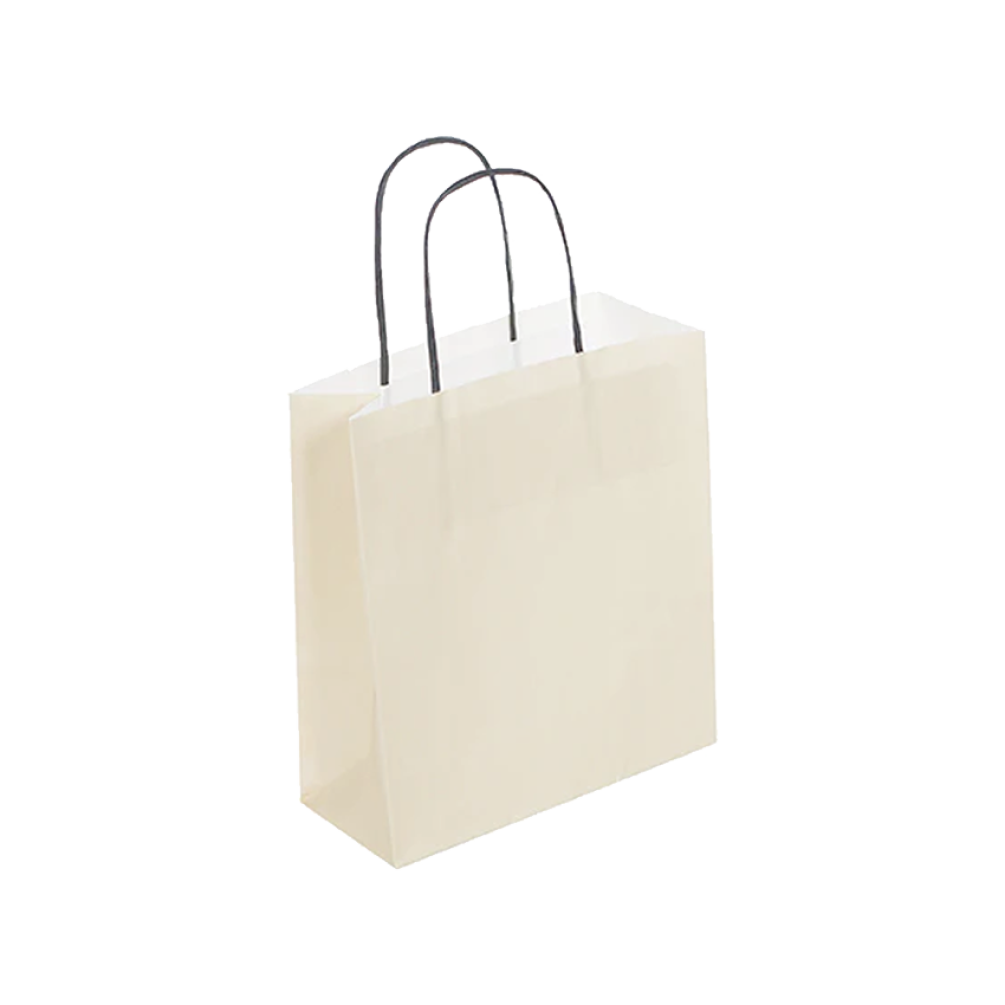 Pack of 25 Small Cream Paper Gift Bag With Paper Twisted Handles
