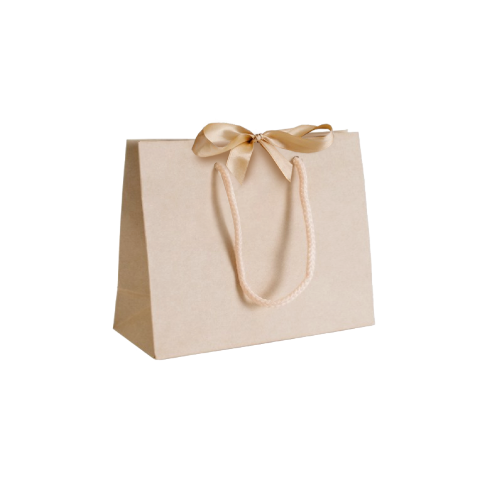 Pack of 25 Small Landscape Cream Paper Gift Bags With Rope Handles and Ribbon