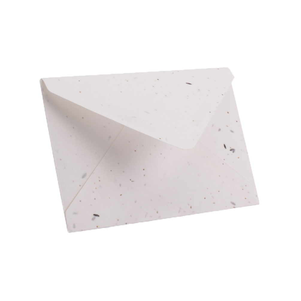 C6 Plantable Seeded White Envelope