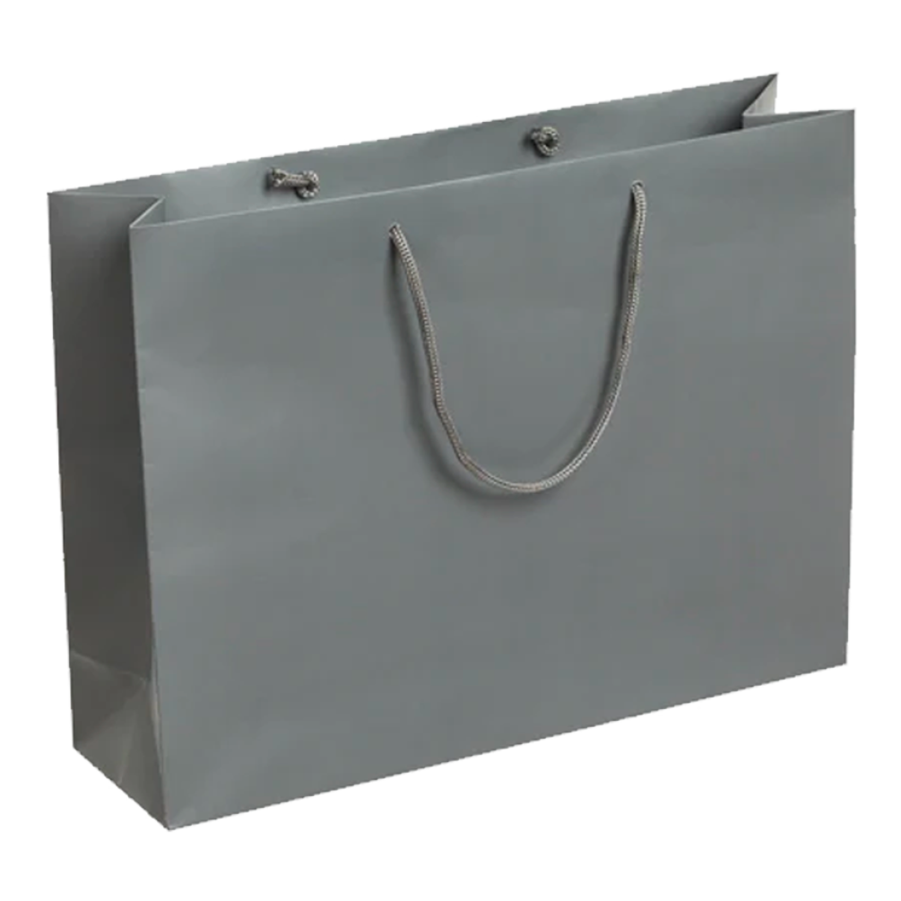 Pack of 100 Large Landscape Grey Boutique Carrier Bags With Rope Handles