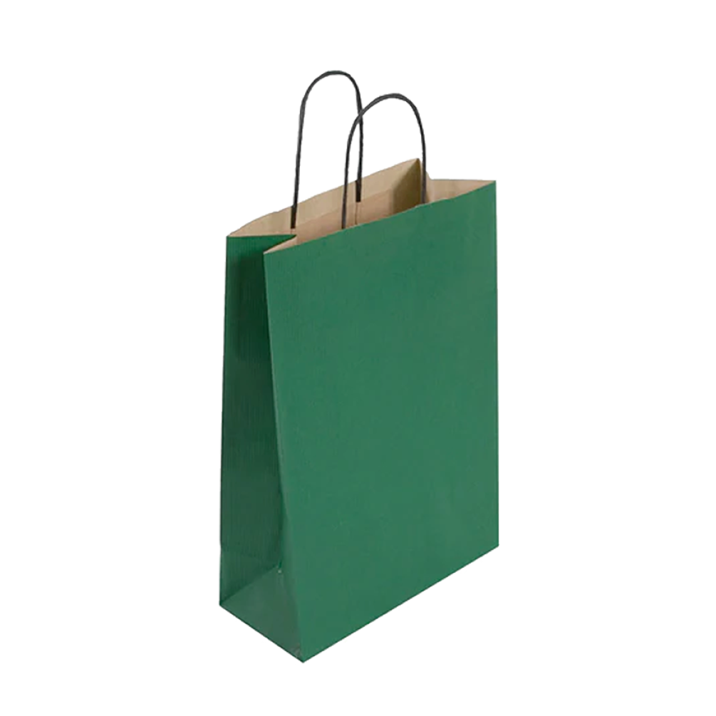 Pack of 25 Medium Green Paper Gift Bag With Paper Twisted Handles