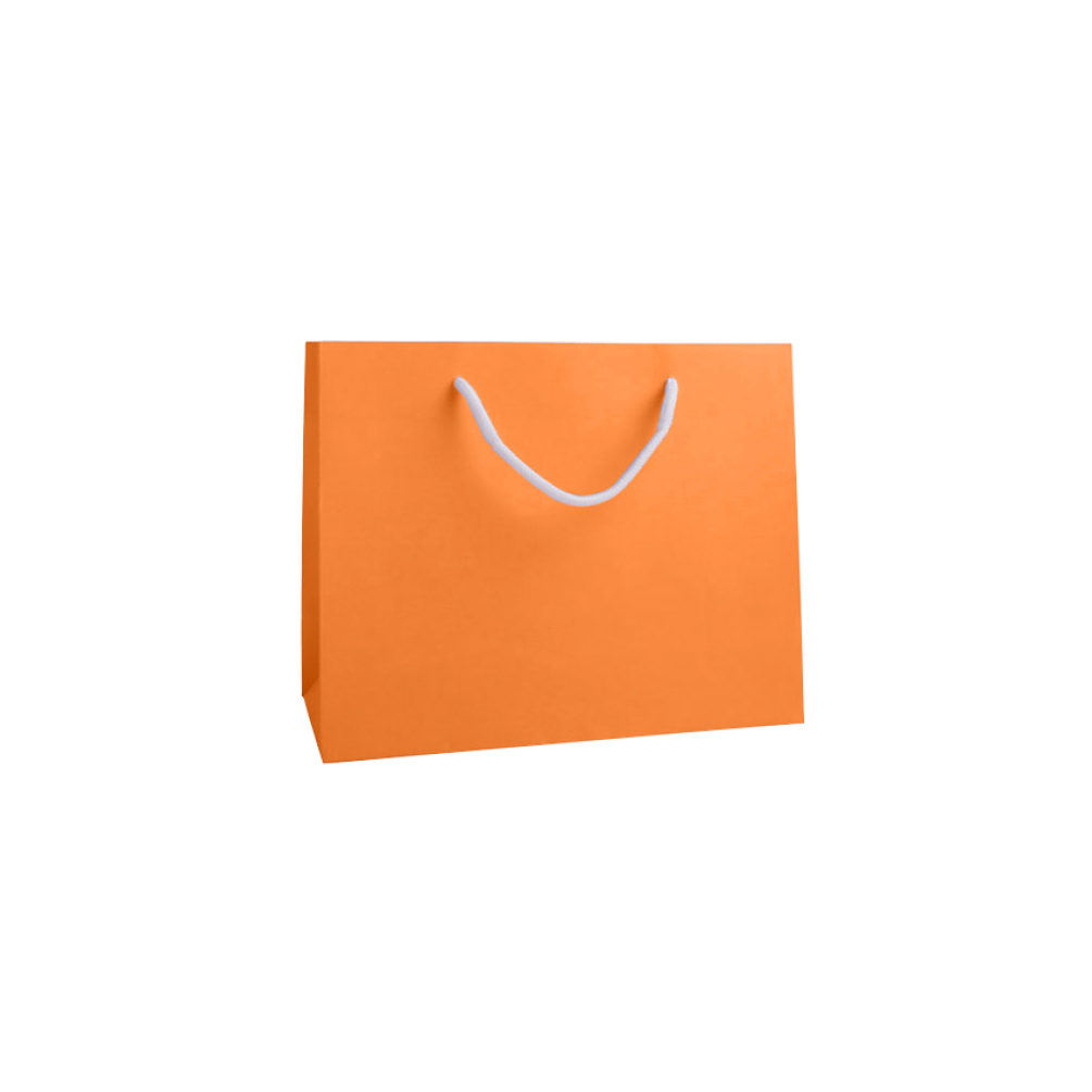 Medium Landscape Apricot Crush Orange Paper Gift Bag With Rope Handles