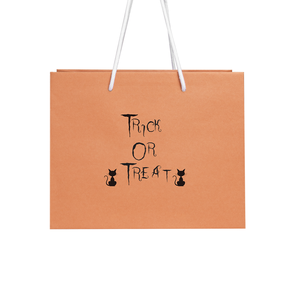 Halloween Medium Landscape Orange Paper Gift Bag with Trick or Treat design