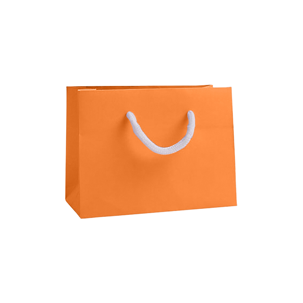 Small Landscape Apricot Crush Orange Paper Gift Bag with Rope Handles